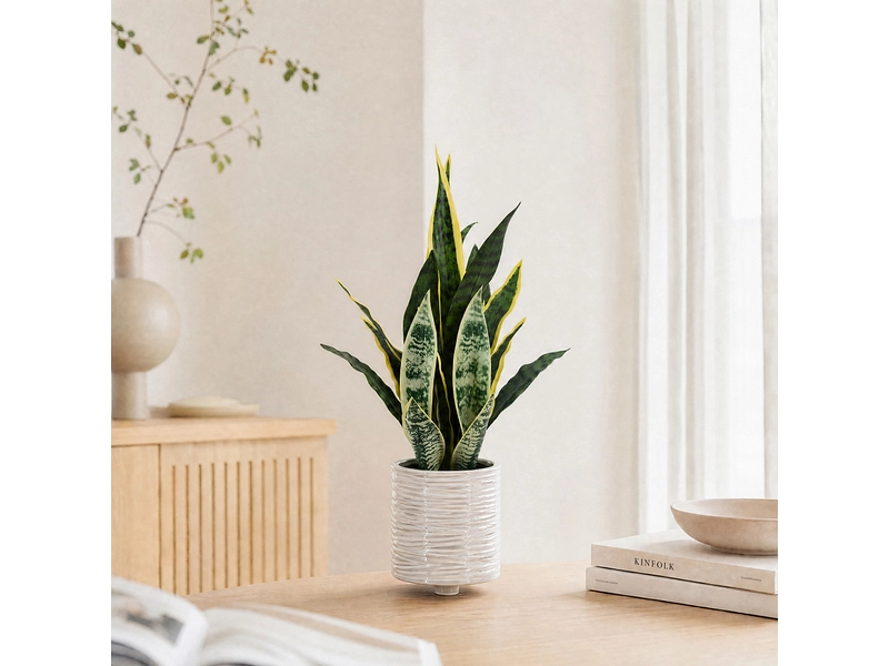 Plante artificielle CHARLIE