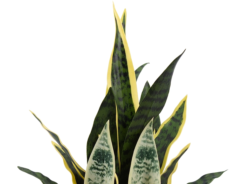 Plante artificielle CHARLIE