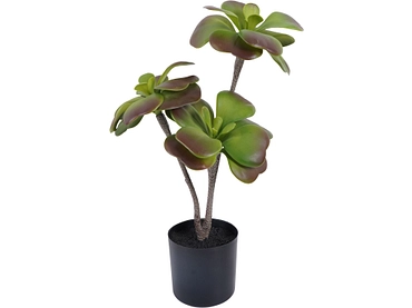 Plante artificielle VERIA