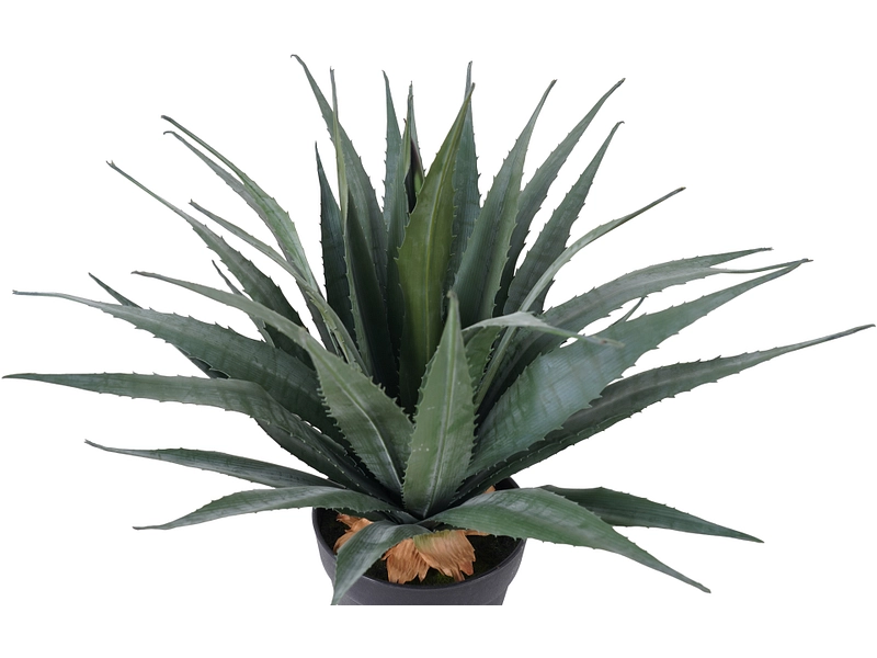 Pianta artificiale AGAVE Pianta artificiale AGAVE
