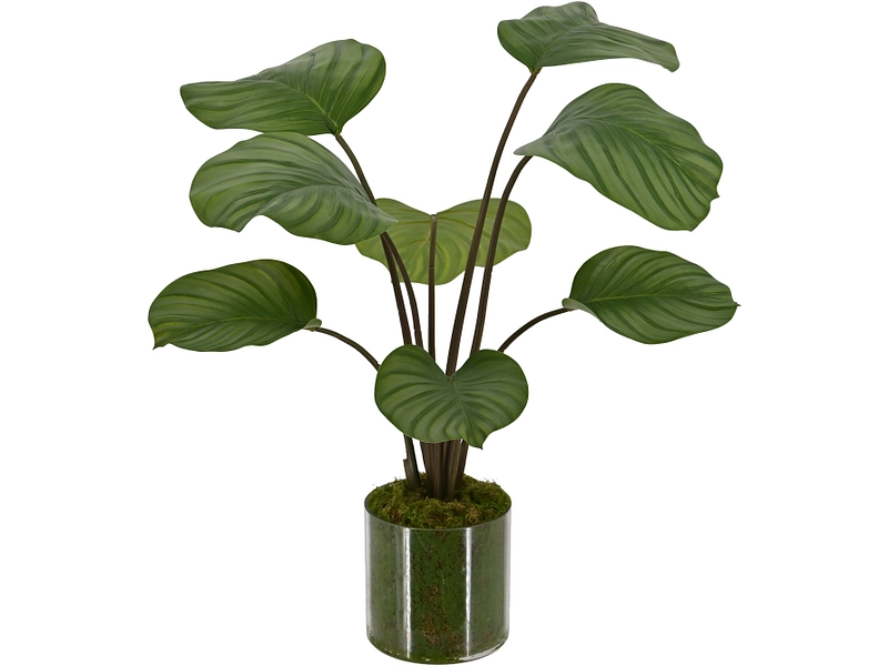 Plante artificielle CATALINA Plante artificielle CATALINA