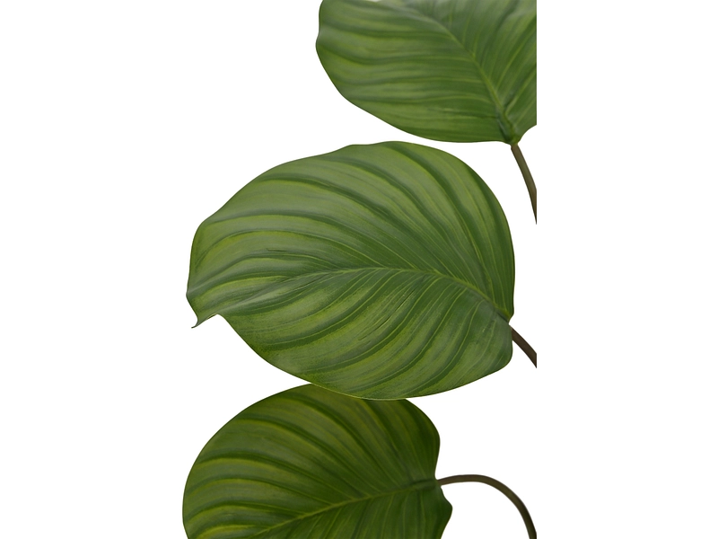 Plante artificielle CATALINA Plante artificielle CATALINA