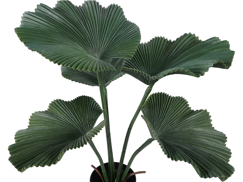 Pianta artificiale HELENE Pianta artificiale HELENE