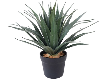 Pianta artificiale AGAVE