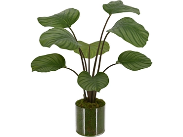 Plante artificielle CATALINA Plante artificielle CATALINA