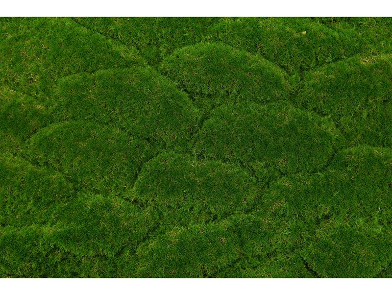 Quadro vegetale MOSS 1 pezzo poliestere verde Quadro vegetale MOSS 1 pezzo poliestere verde