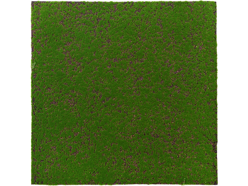 Quadro vegetale MOSS 1 pezzo poliestere verde Quadro vegetale MOSS 1 pezzo poliestere verde
