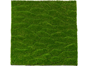 Quadro vegetale MOSS 1 pezzo poliestere verde