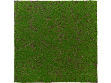 Quadro vegetale MOSS 1 pezzo poliestere verde