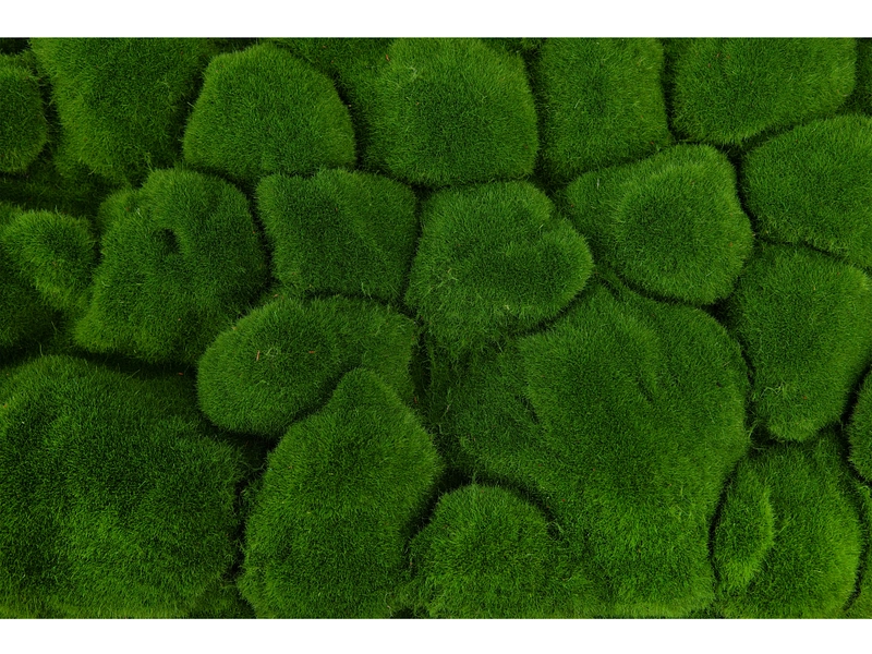 Quadro vegetale MOSS 1 pezzo poliestere verde