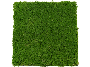 Quadro vegetale MOSS 1 pezzo poliestere verde