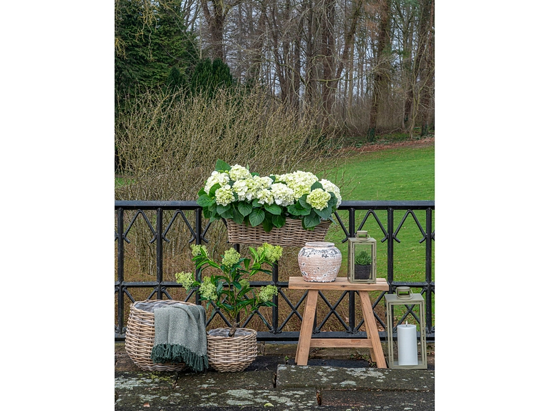 Set mit Laternen CORFU