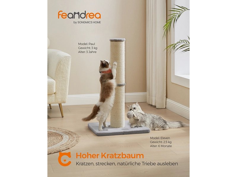 Griffoir pour chat FEANDREA