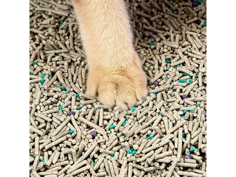 Lot de 4 litières végétales PETKIT Lot de 4 litières végétales PETKIT