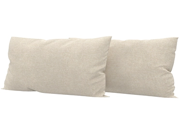 Set 2 coussins PALACE