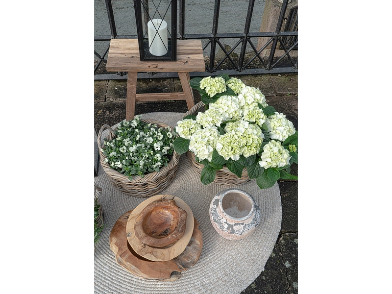 Tapis HOUSE NORDIC MENORCA