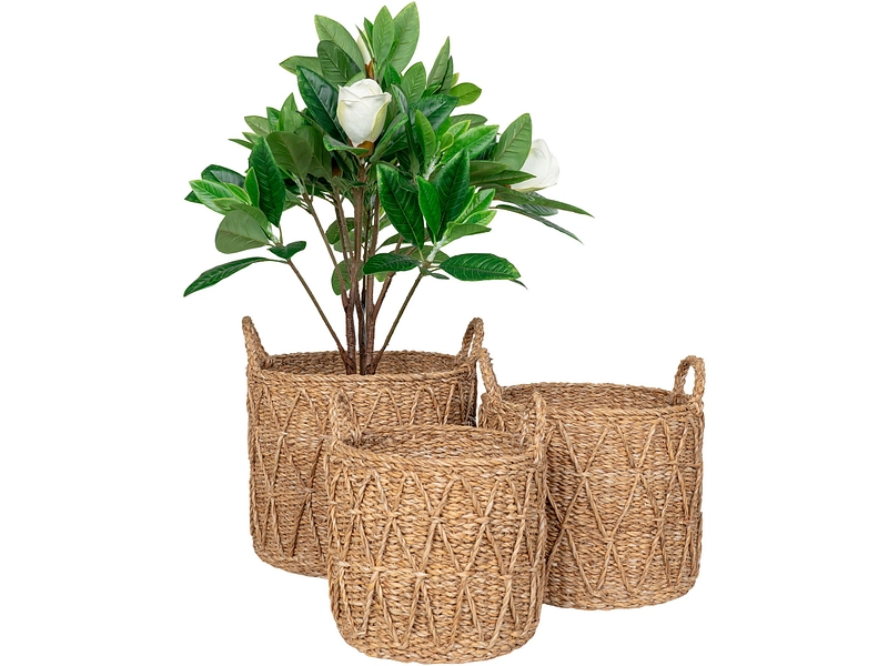 Set di 3 contenitori KRABI legno naturale