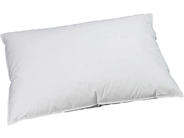 BILLERBECK EDITION Oreiller naturel VIVIANA