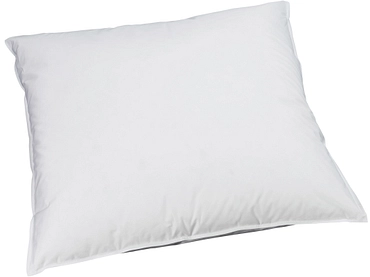 BILLERBECK EDITION Oreiller naturel VIVIANA