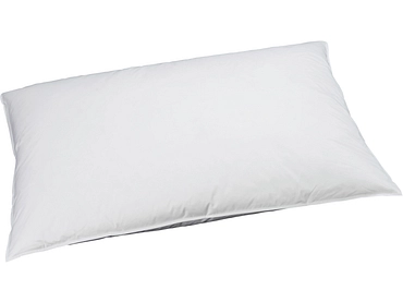 BILLERBECK EDITION Oreiller naturel VIVIANA