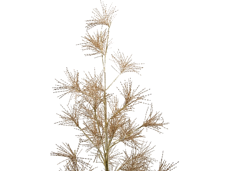 Tannenbeleuchtung MERRY Tannenbeleuchtung MERRY