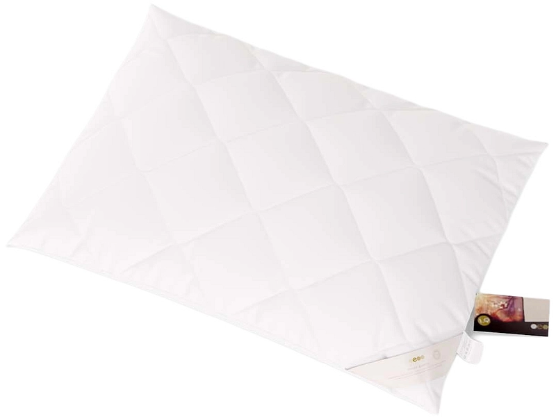 ERZSTEF Oreiller CHEMNITZ ERZSTEF Oreiller CHEMNITZ