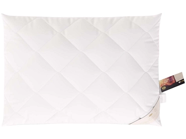 ERZSTEF Oreiller CHEMNITZ