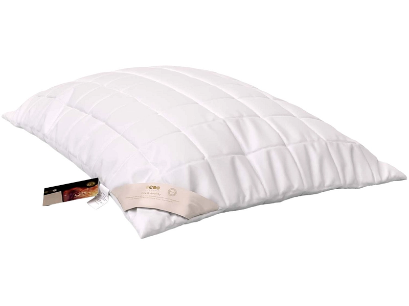 ERZSTEFPfulmen OBJECTA