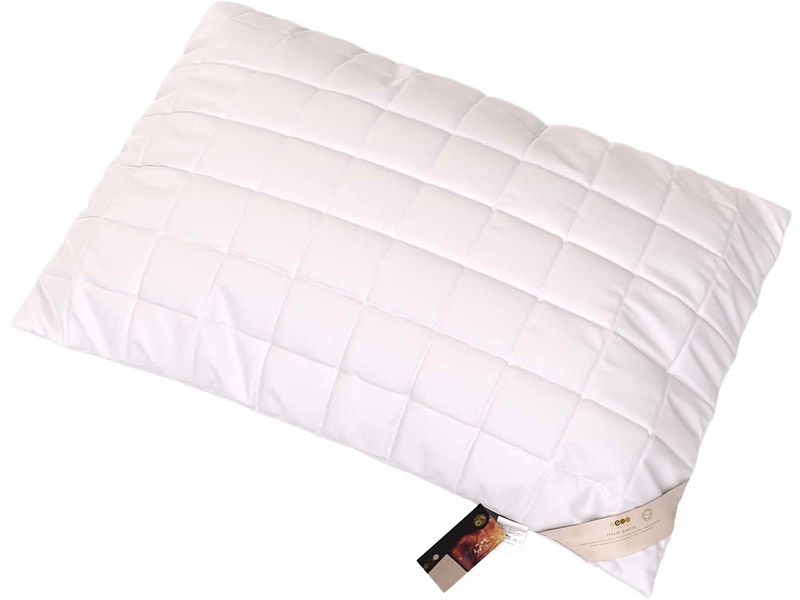 ERZSTEFPfulmen OBJECTA