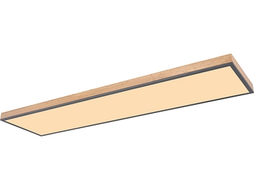 Deckenlampe DORO Deckenlampe DORO