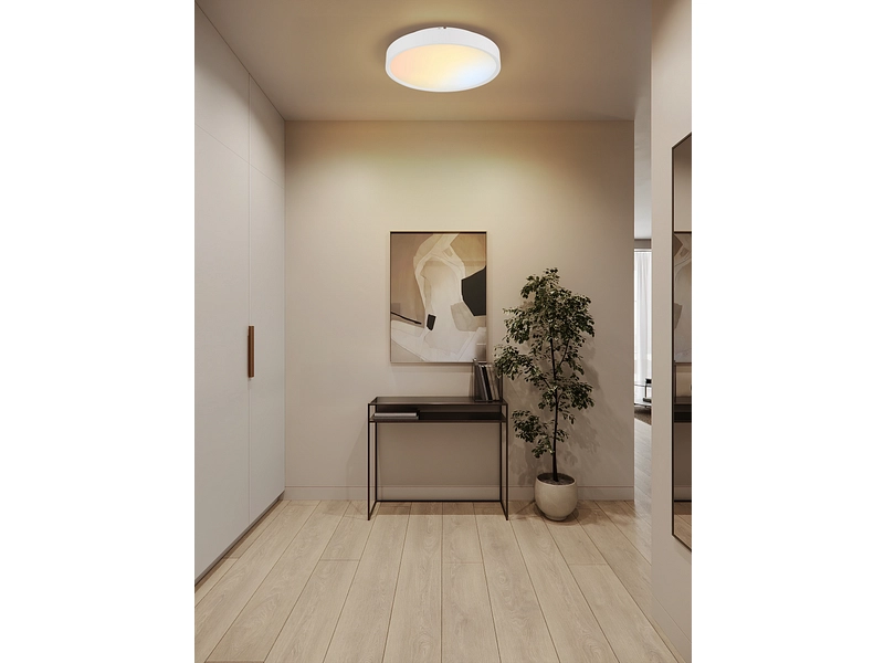 Plafonnier JESS intensité variable