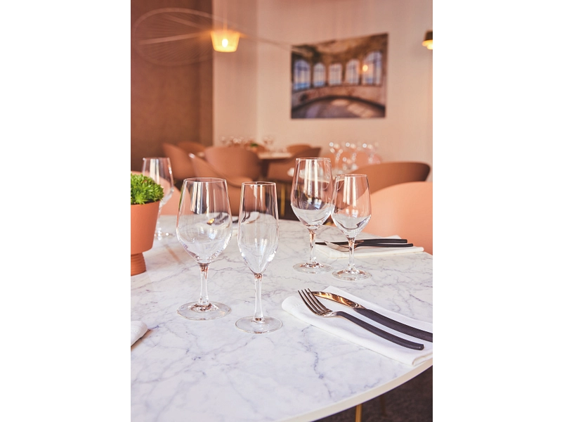 Weinglass PROFESSIONAL 1 Stück hell 45 cl Weinglass PROFESSIONAL 1 Stück hell 45 cl