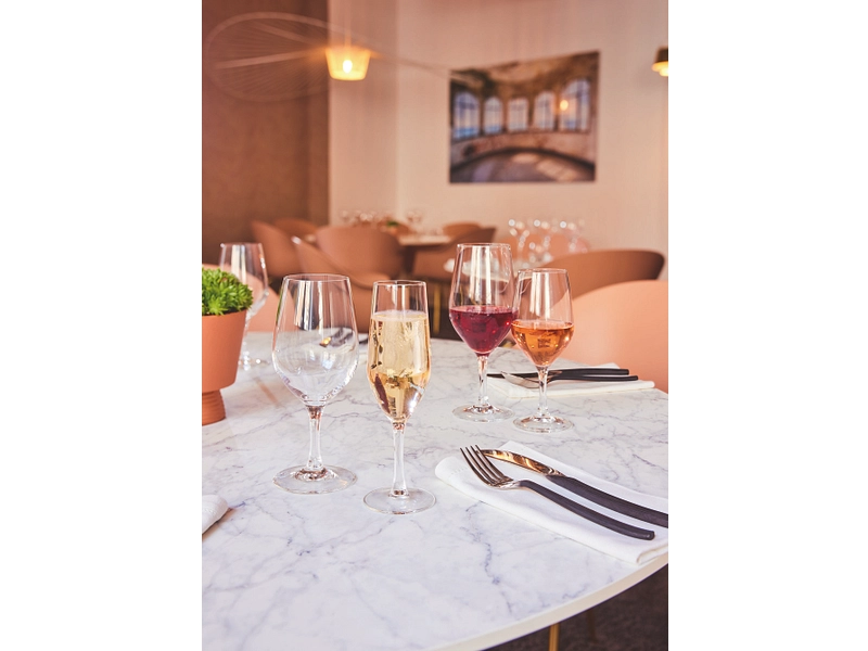 Verre à vin PROFESSIONAL 1 pièce clair 35 cl