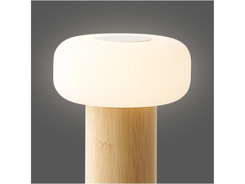 HOUSE NORDIC Lampada LED Ricaricabile tramite USB STAFFORD