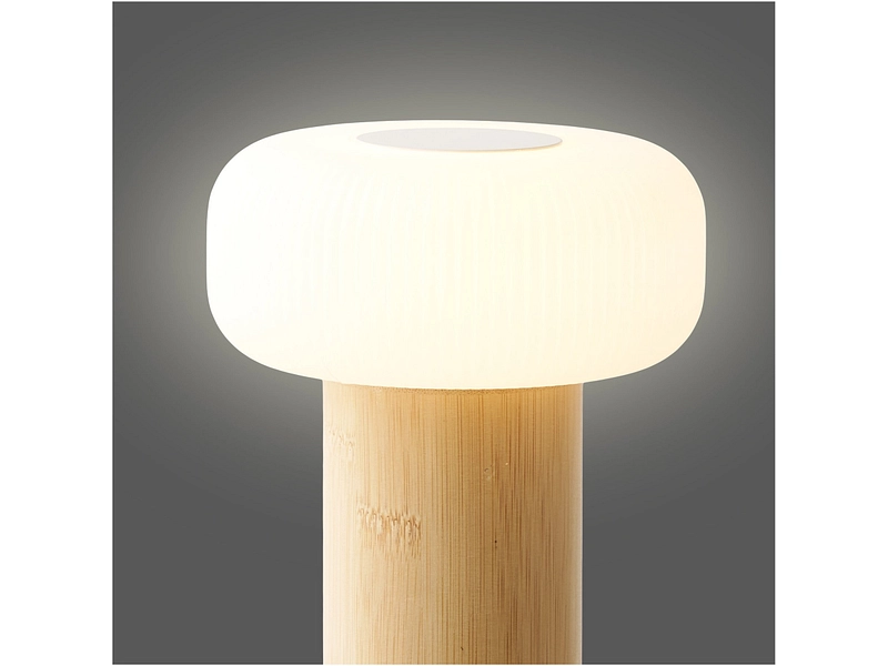 HOUSE NORDIC Lampada LED Ricaricabile tramite USB STAFFORD