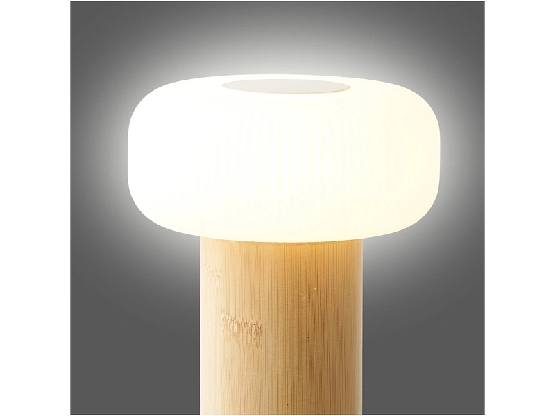HOUSE NORDIC Lampada LED Ricaricabile tramite USB STAFFORD