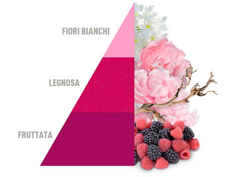 Sachet parfumé BUCATO