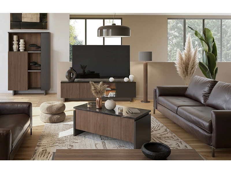 Mobile TV LISON Mobile TV LISON