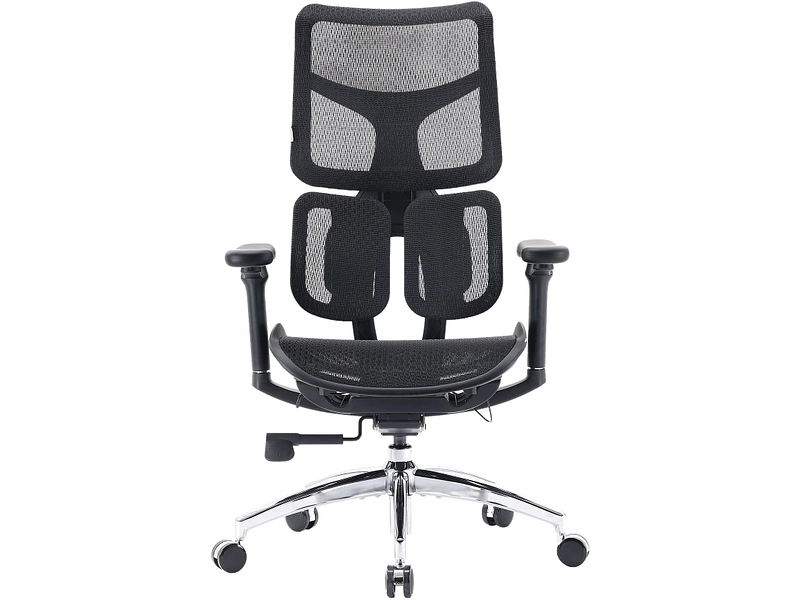 Ergonomischer Bürostuhl SIHOO S100 Ergonomischer Bürostuhl SIHOO S100
