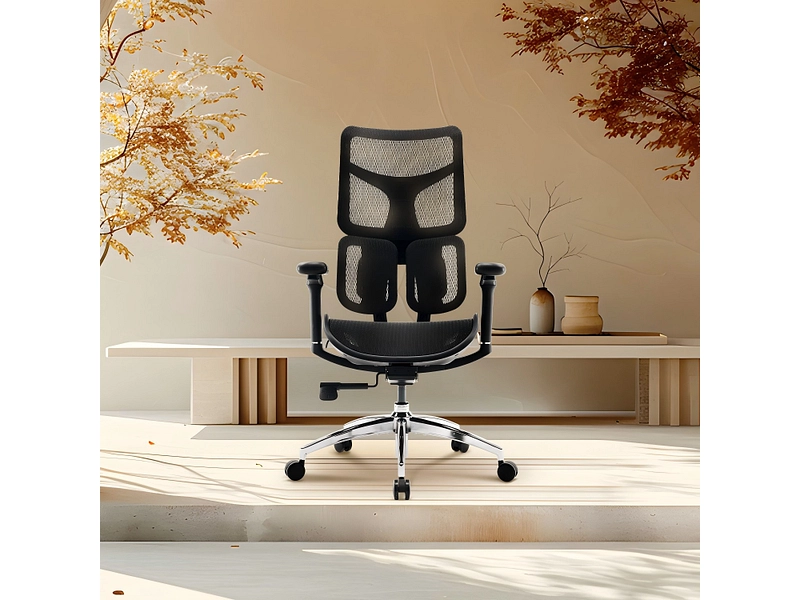 Ergonomischer Bürostuhl SIHOO S100 Ergonomischer Bürostuhl SIHOO S100