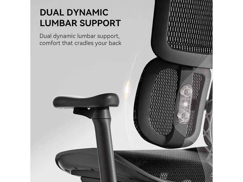 Ergonomischer Bürostuhl SIHOO S100 Ergonomischer Bürostuhl SIHOO S100