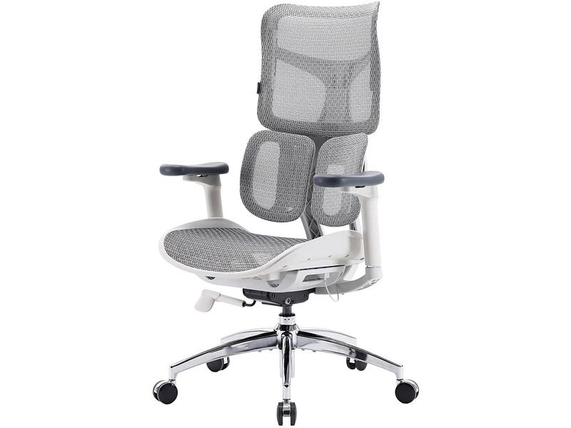 Ergonomischer Bürostuhl SIHOO S100 Ergonomischer Bürostuhl SIHOO S100