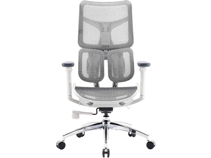 Ergonomischer Bürostuhl SIHOO S100 Ergonomischer Bürostuhl SIHOO S100