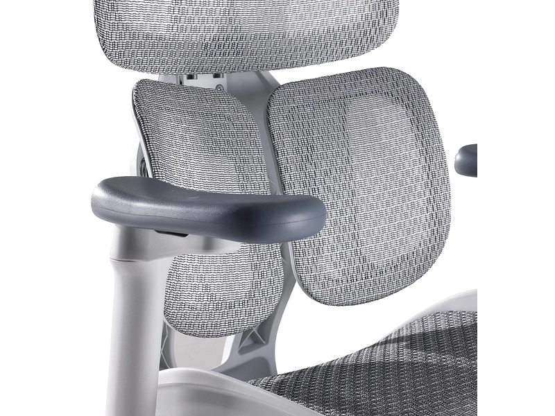 Ergonomischer Bürostuhl SIHOO S100 Ergonomischer Bürostuhl SIHOO S100
