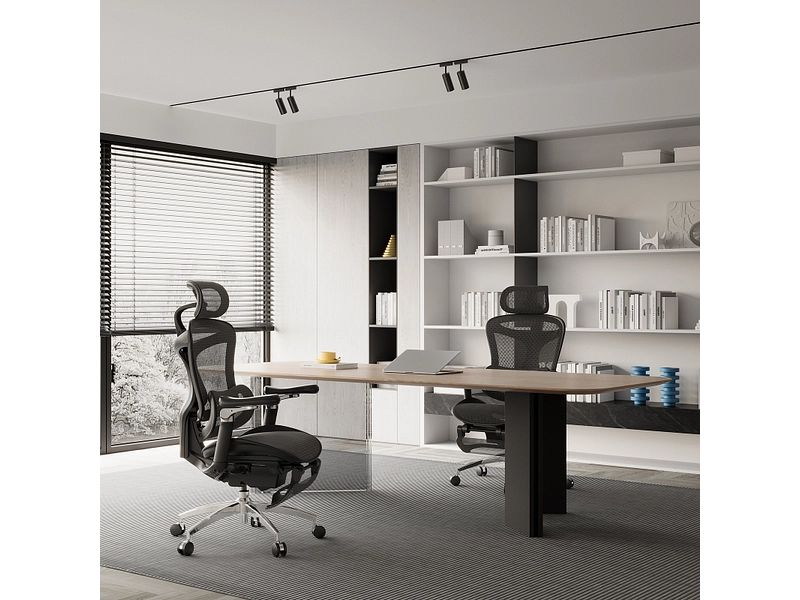 Ergonomischer Bürostuhl SIHOO C300 PRO Ergonomischer Bürostuhl SIHOO C300 PRO