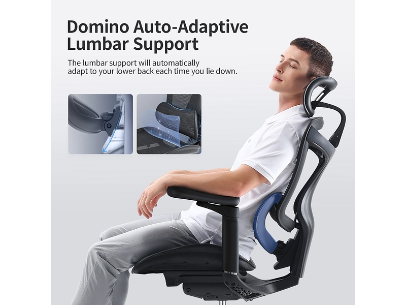 Ergonomischer Bürostuhl SIHOO C300