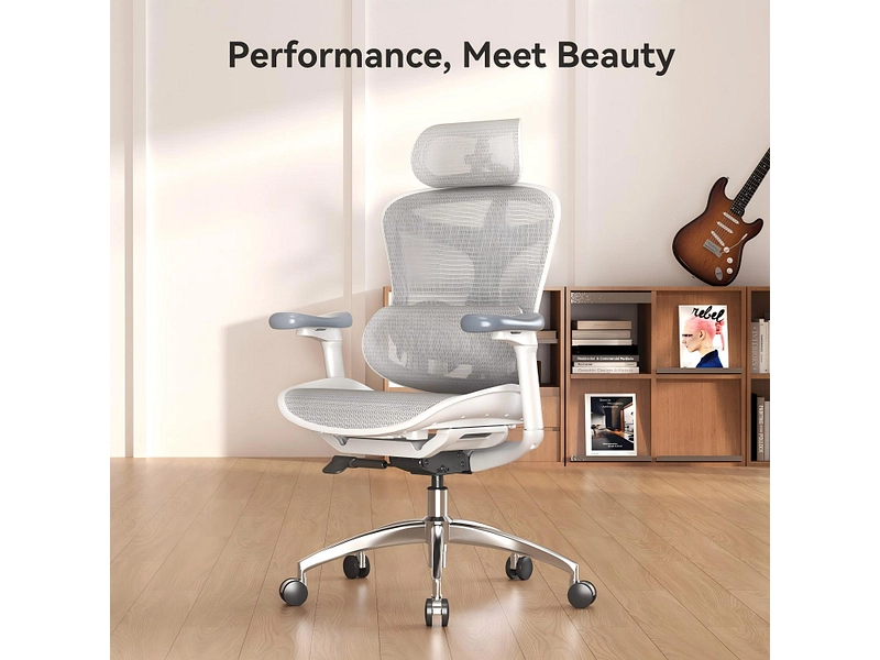 Ergonomischer Bürostuhl SIHOO C300 Ergonomischer Bürostuhl SIHOO C300