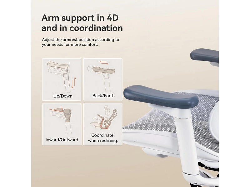 Ergonomischer Bürostuhl SIHOO C300 Ergonomischer Bürostuhl SIHOO C300