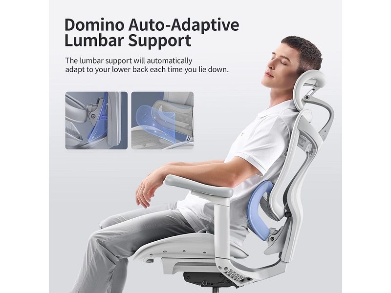 Ergonomischer Bürostuhl SIHOO C300 Ergonomischer Bürostuhl SIHOO C300