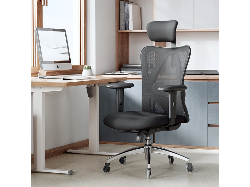 Ergonomischer Bürostuhl SIHOO M18